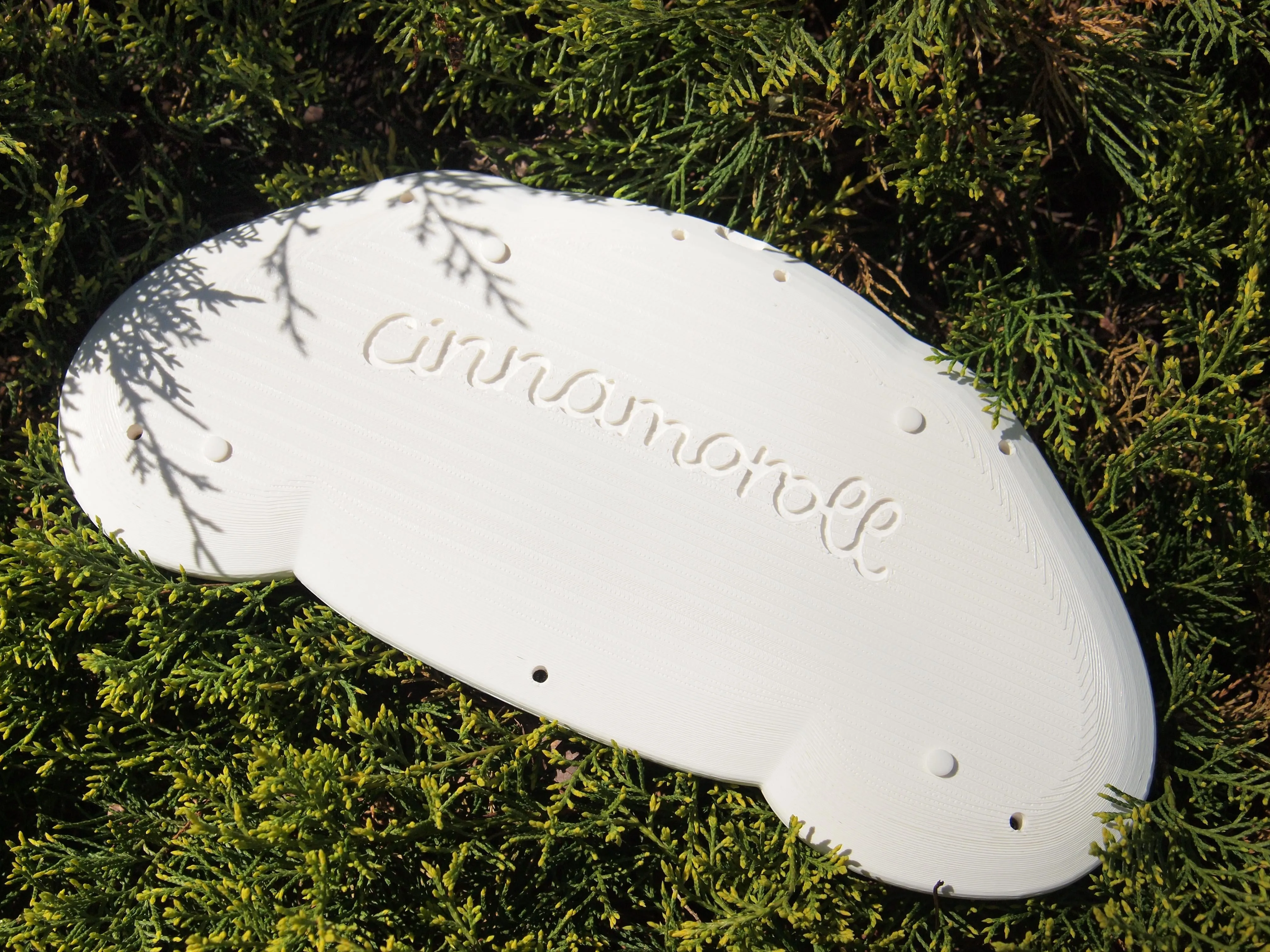 ケース全体の様子