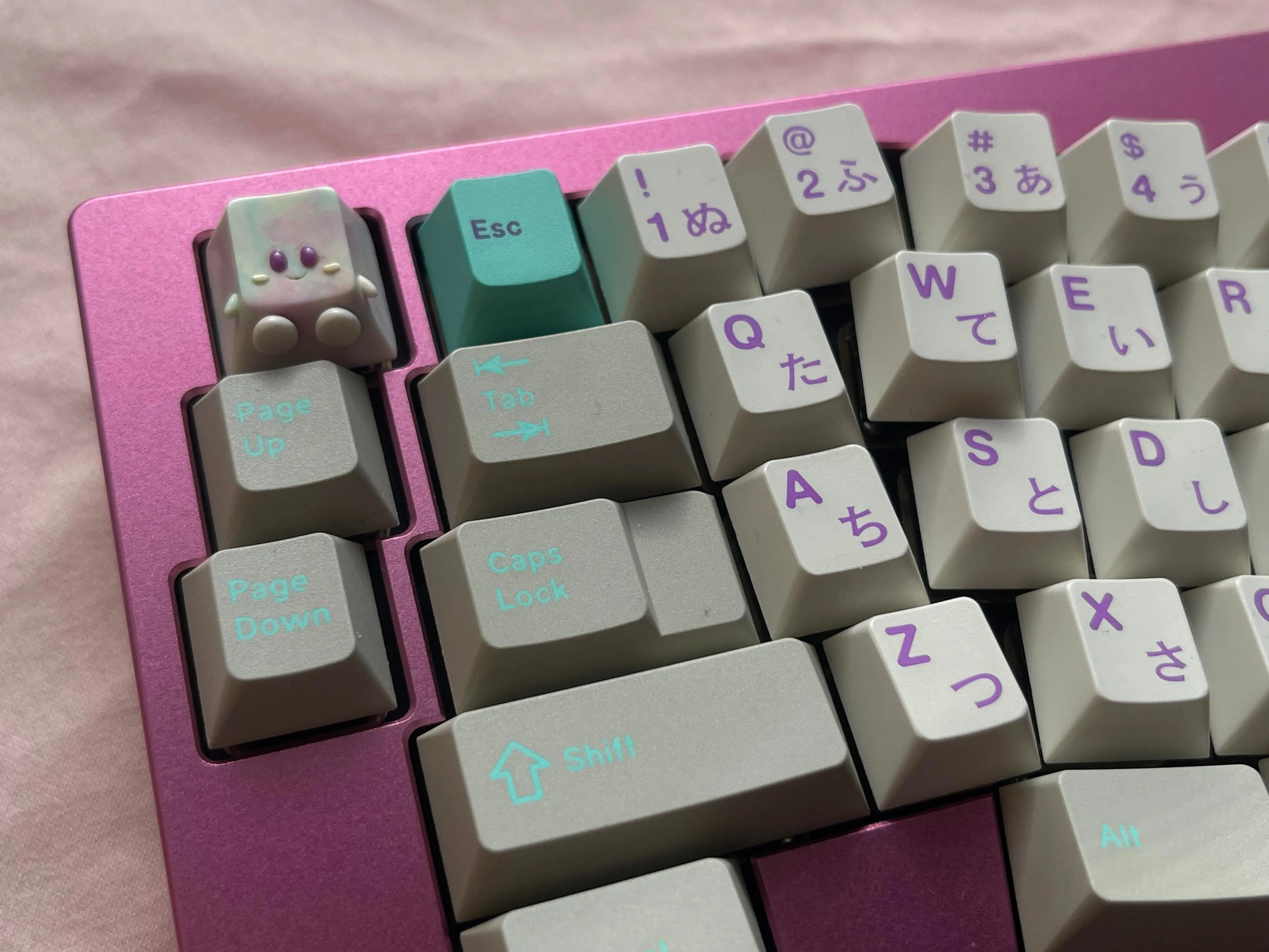TGR Alice Build 3