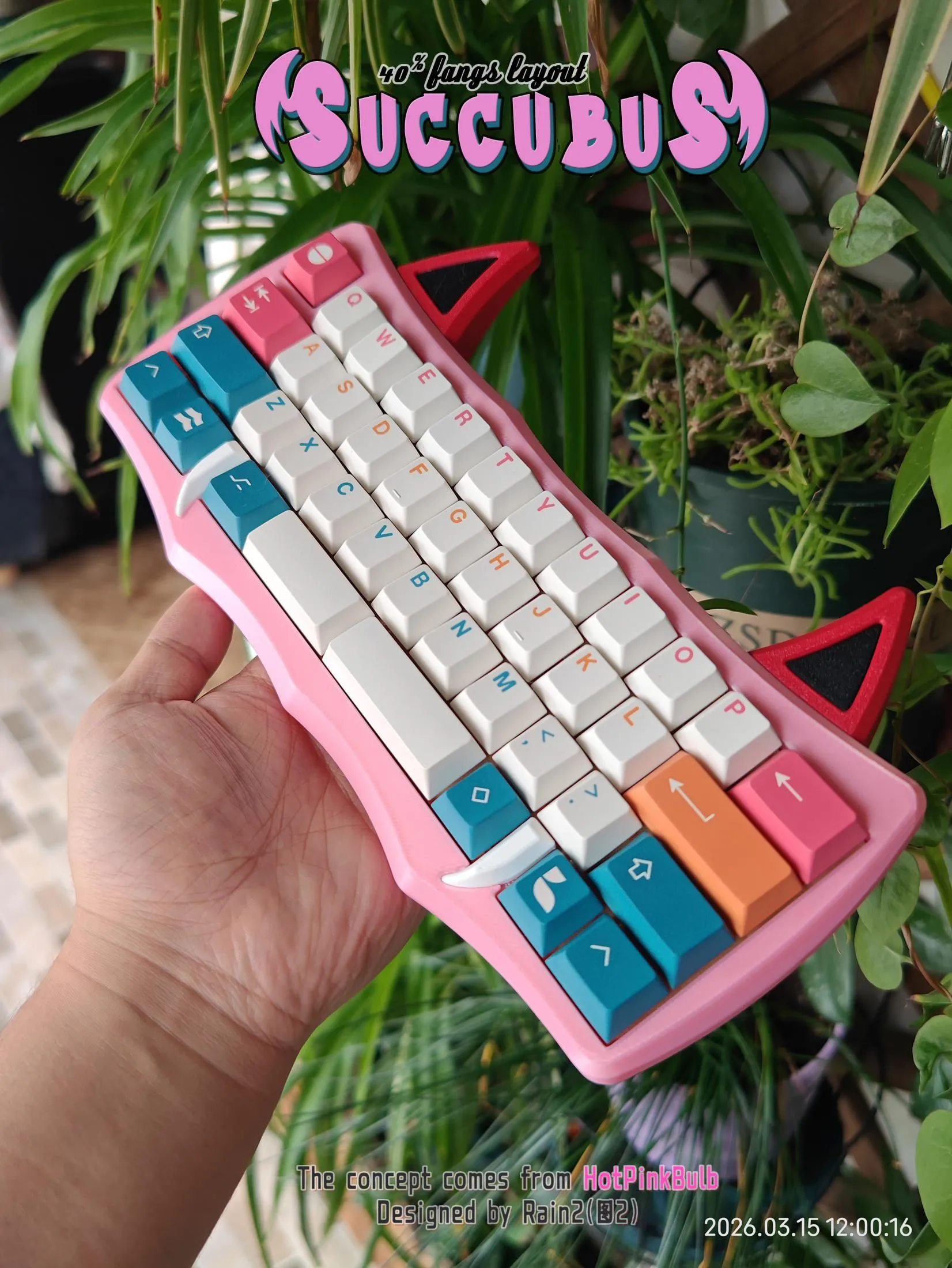 Succubus 40の全体像