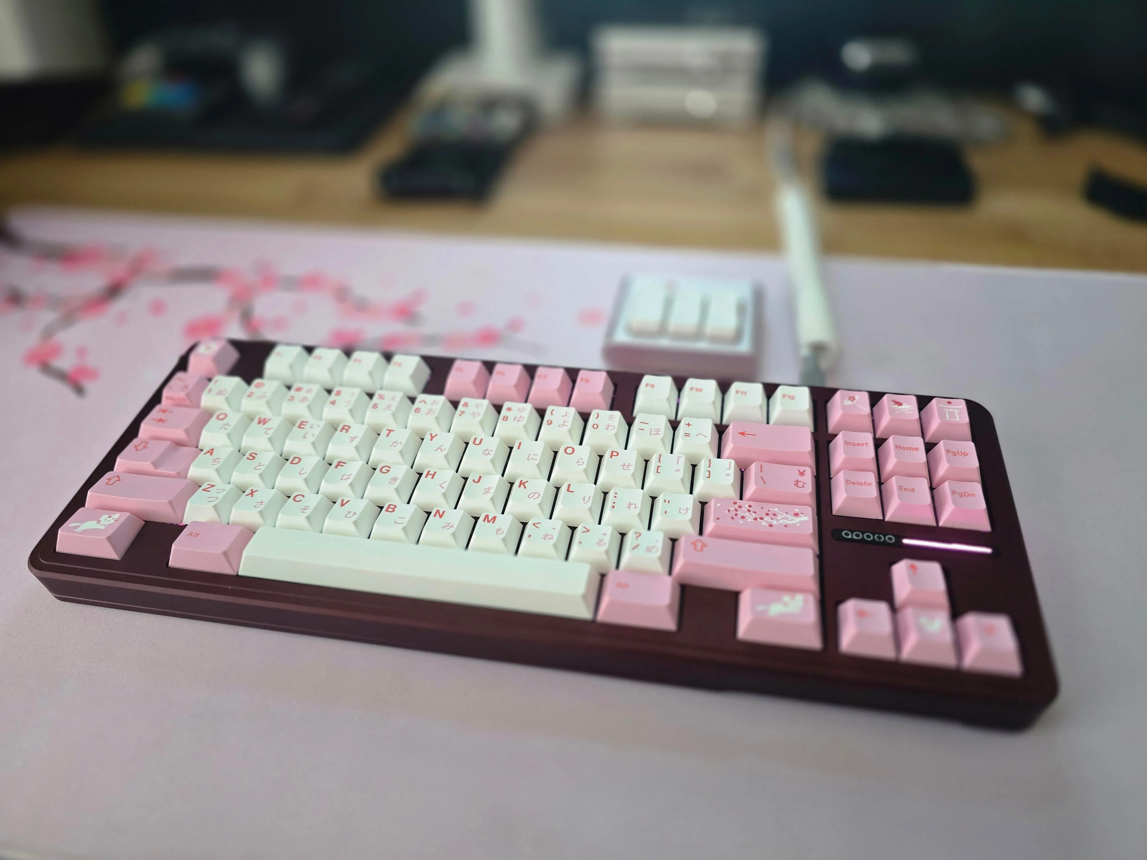 別角度からのショット