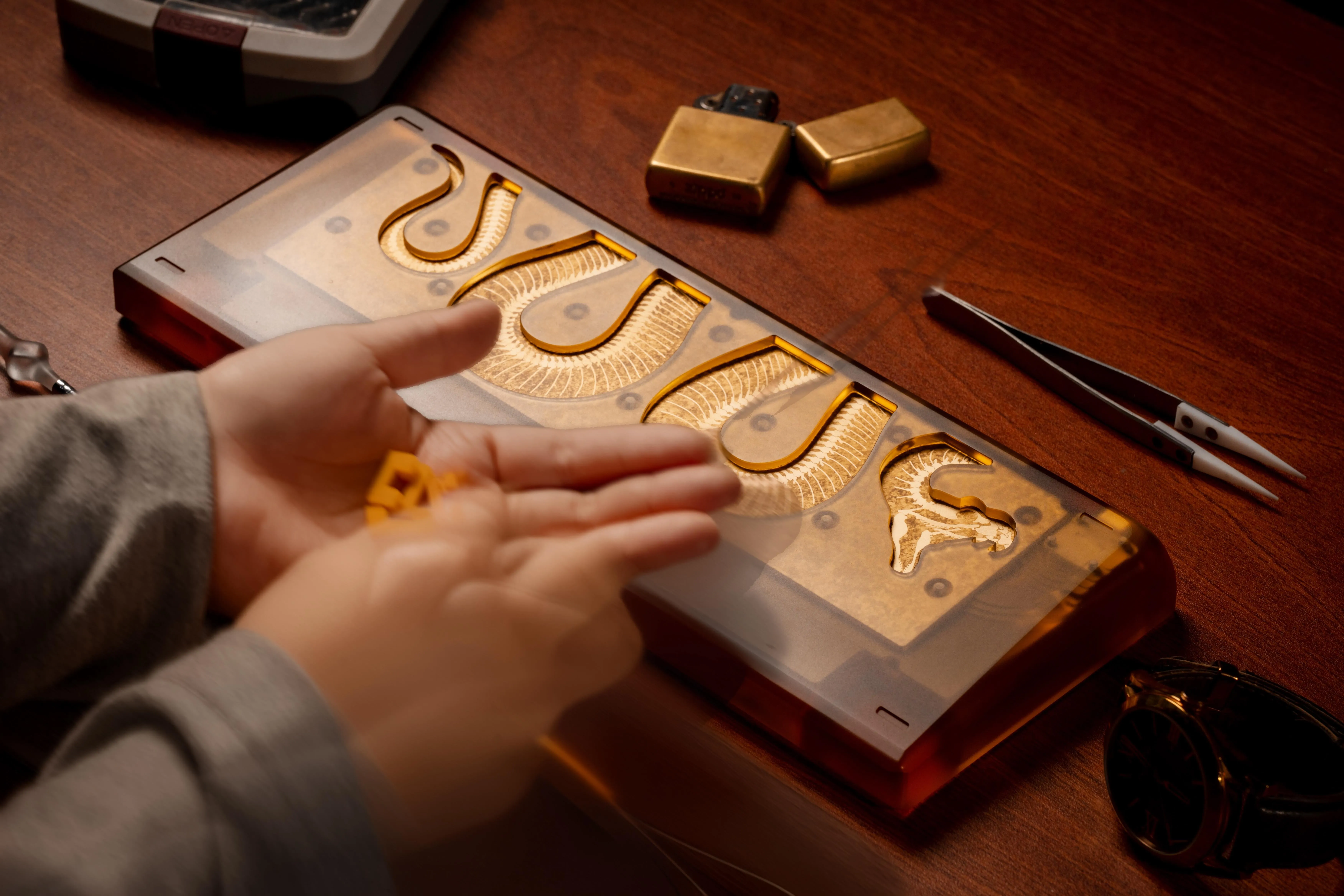 Snake Fossilの全体像