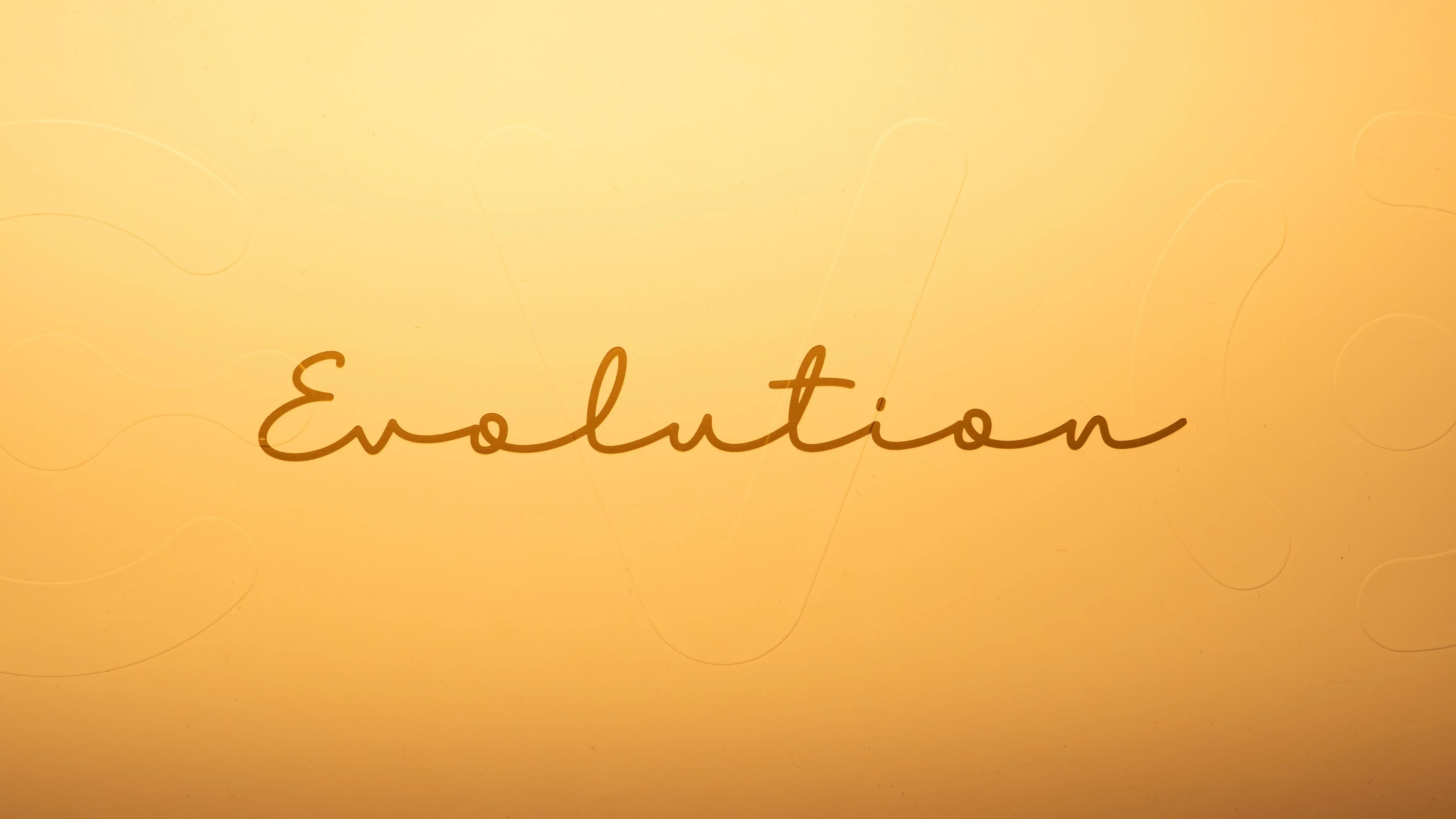 内部構造とメンテナンス性