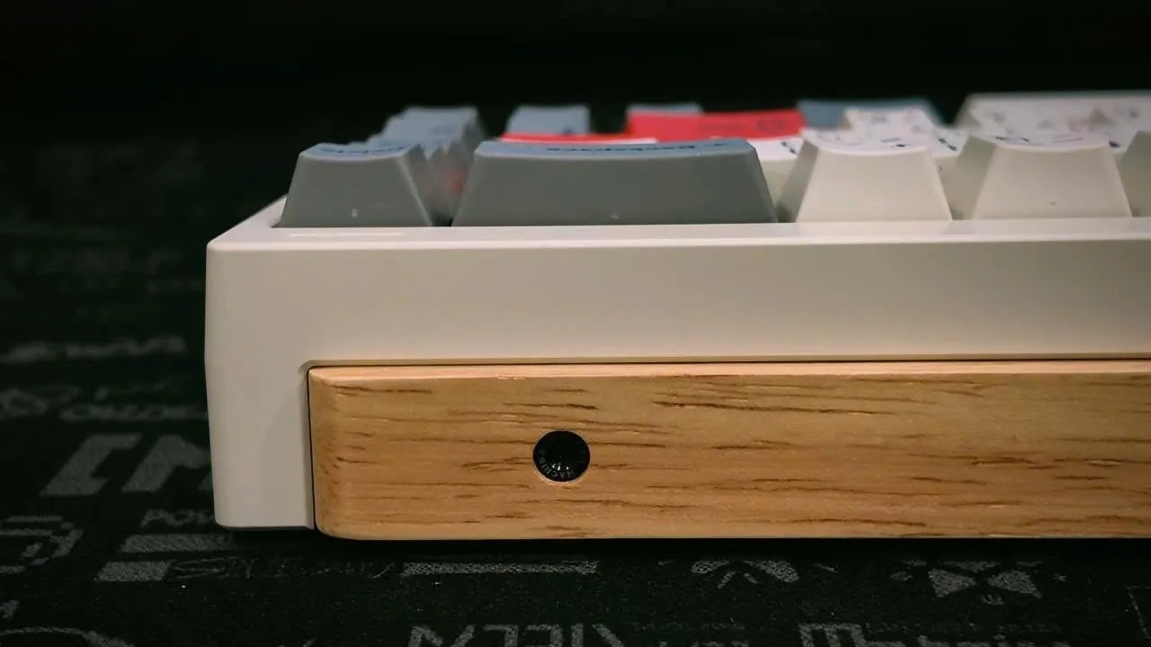 背面から見たTigaの造形美