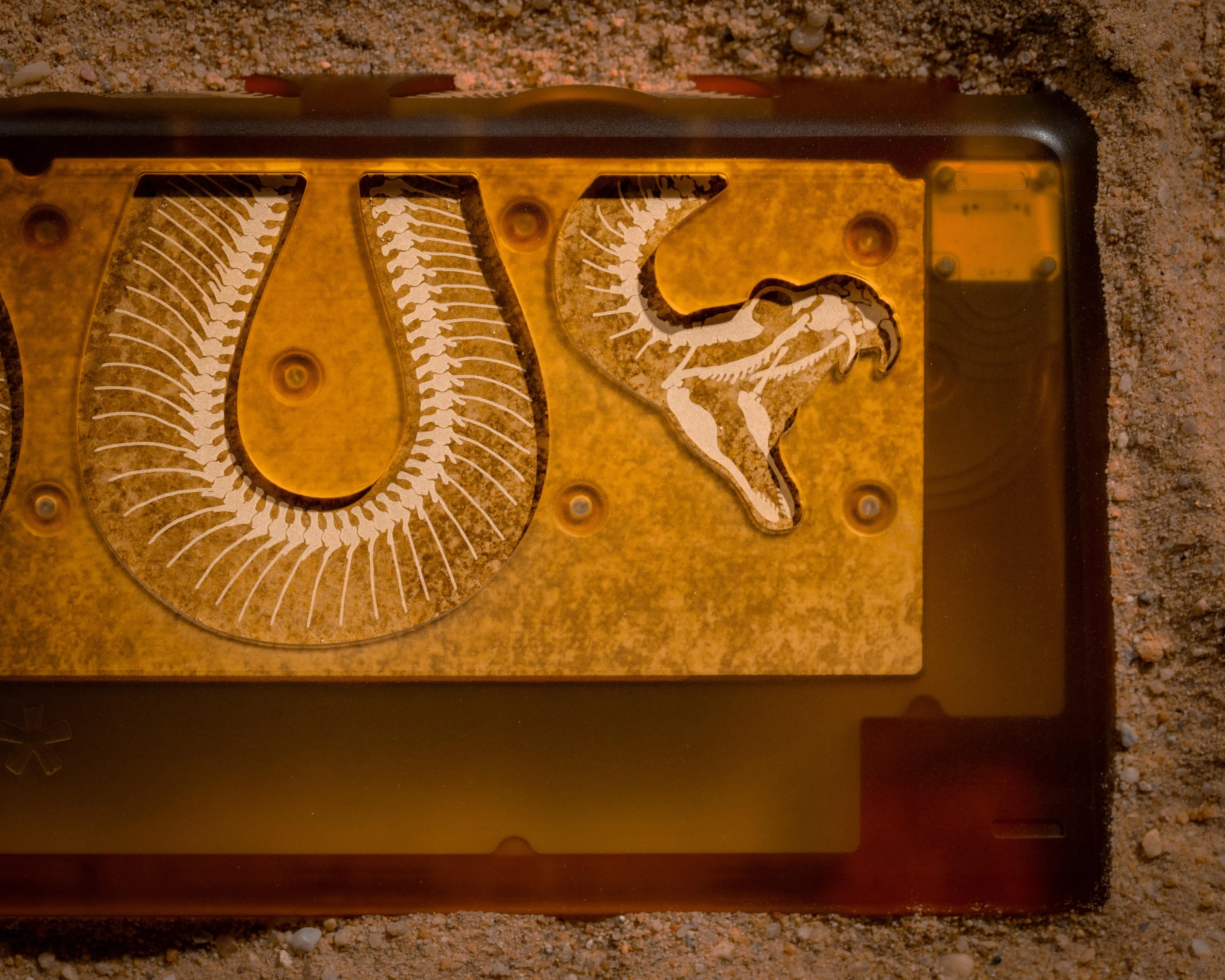 蛇の化石を模したディテール