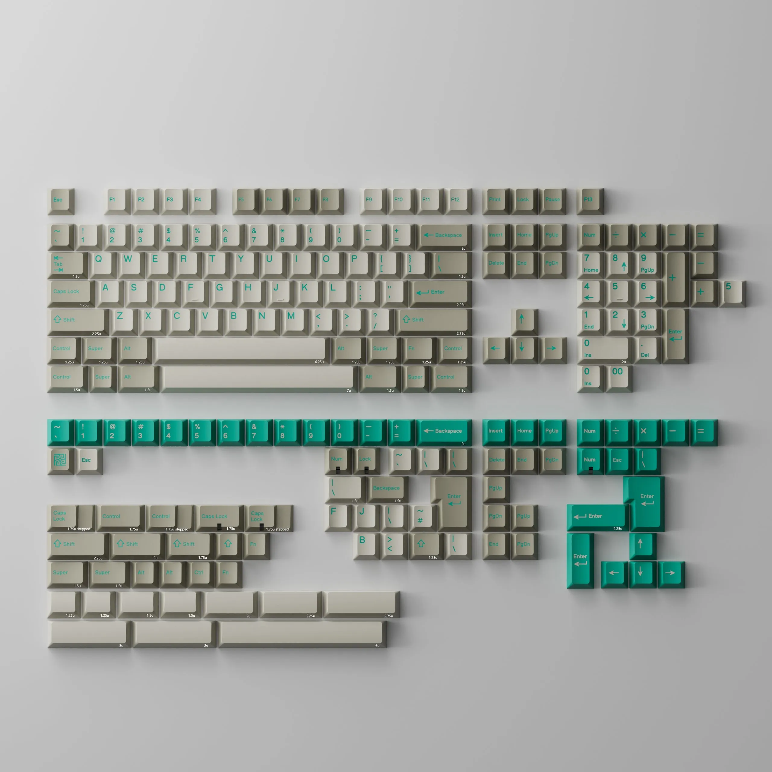 PBTfans Budgerigar Base Kit