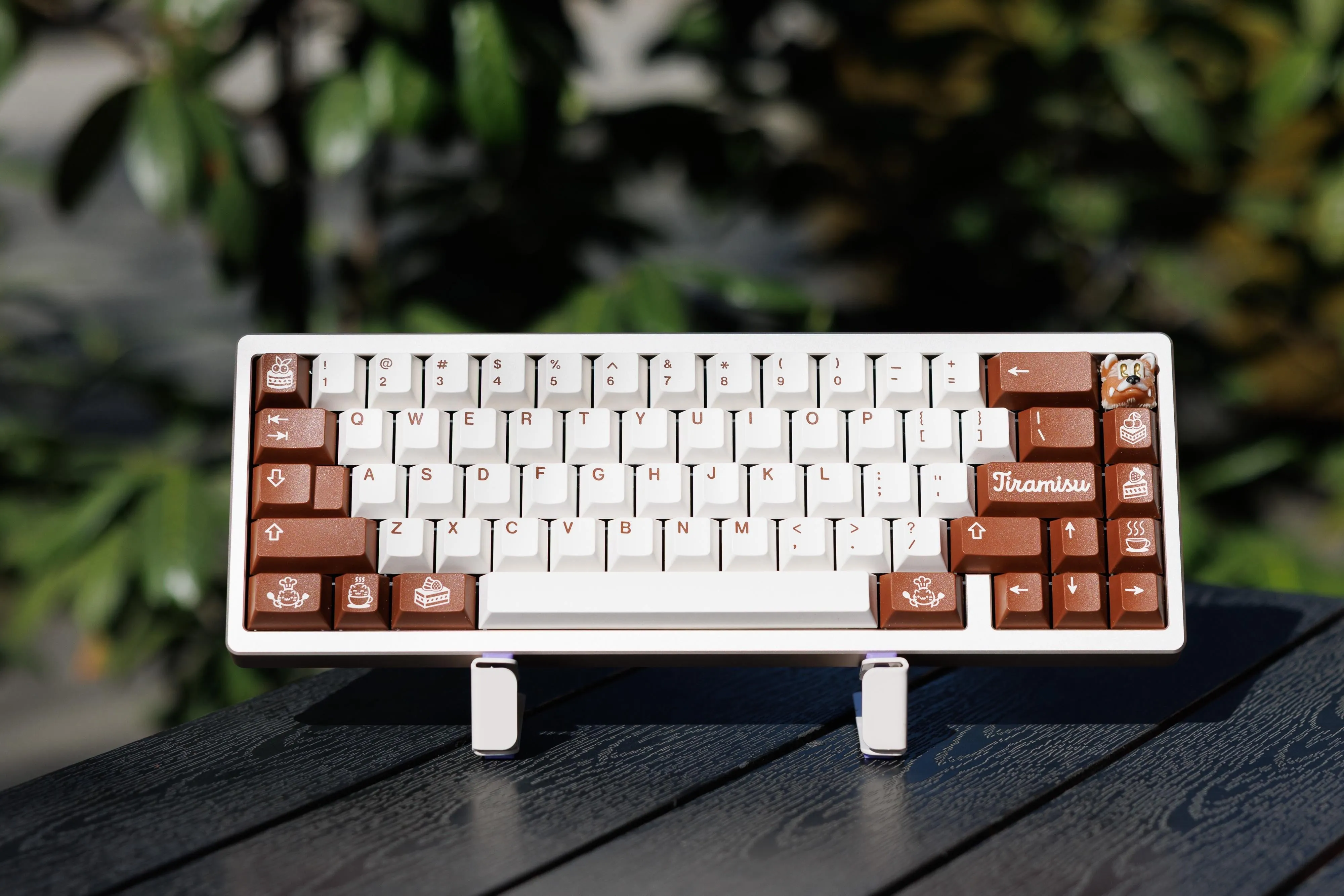 Kohaku Champagne サイドビュー