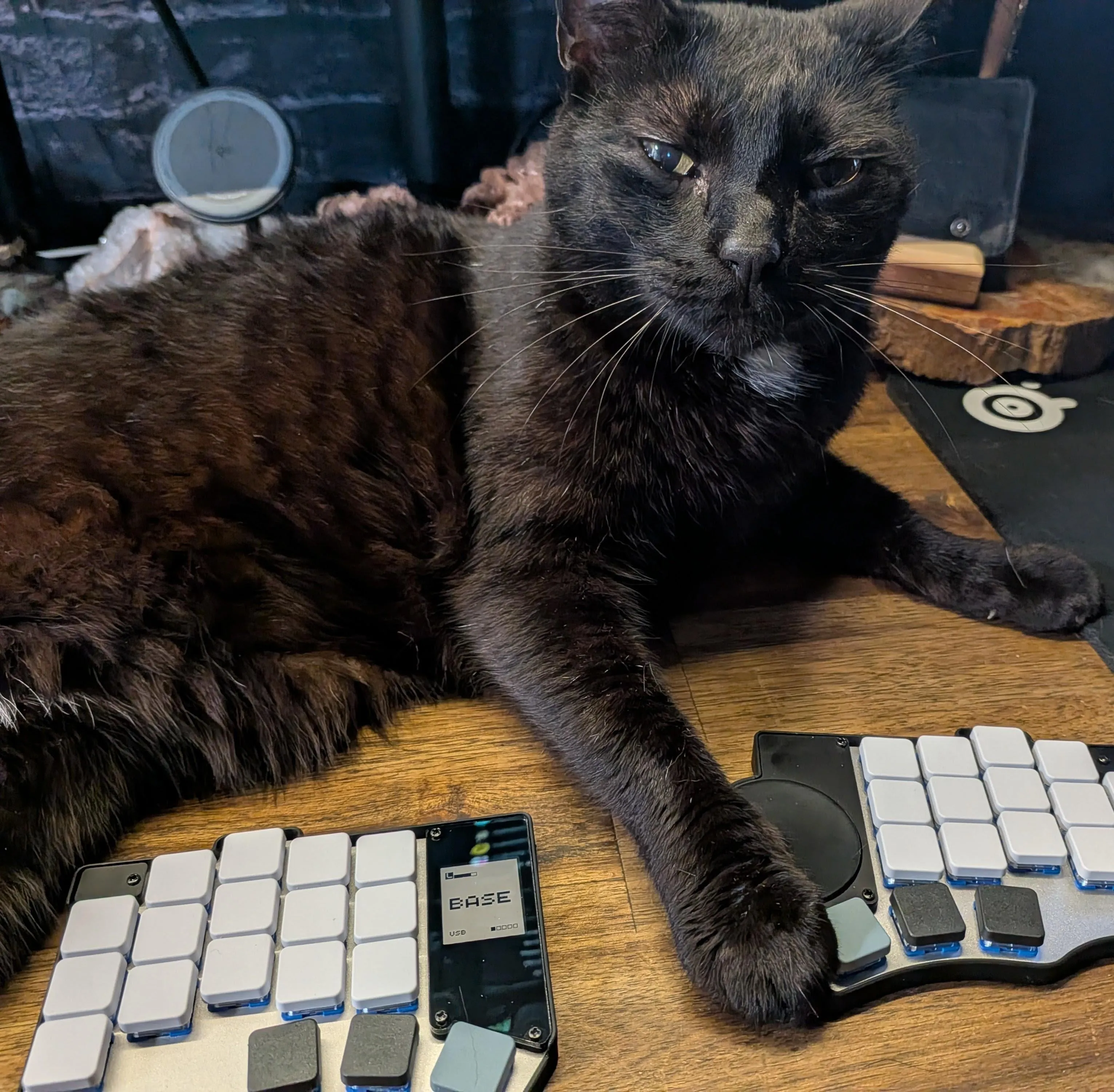 トラックパッドの近接写真