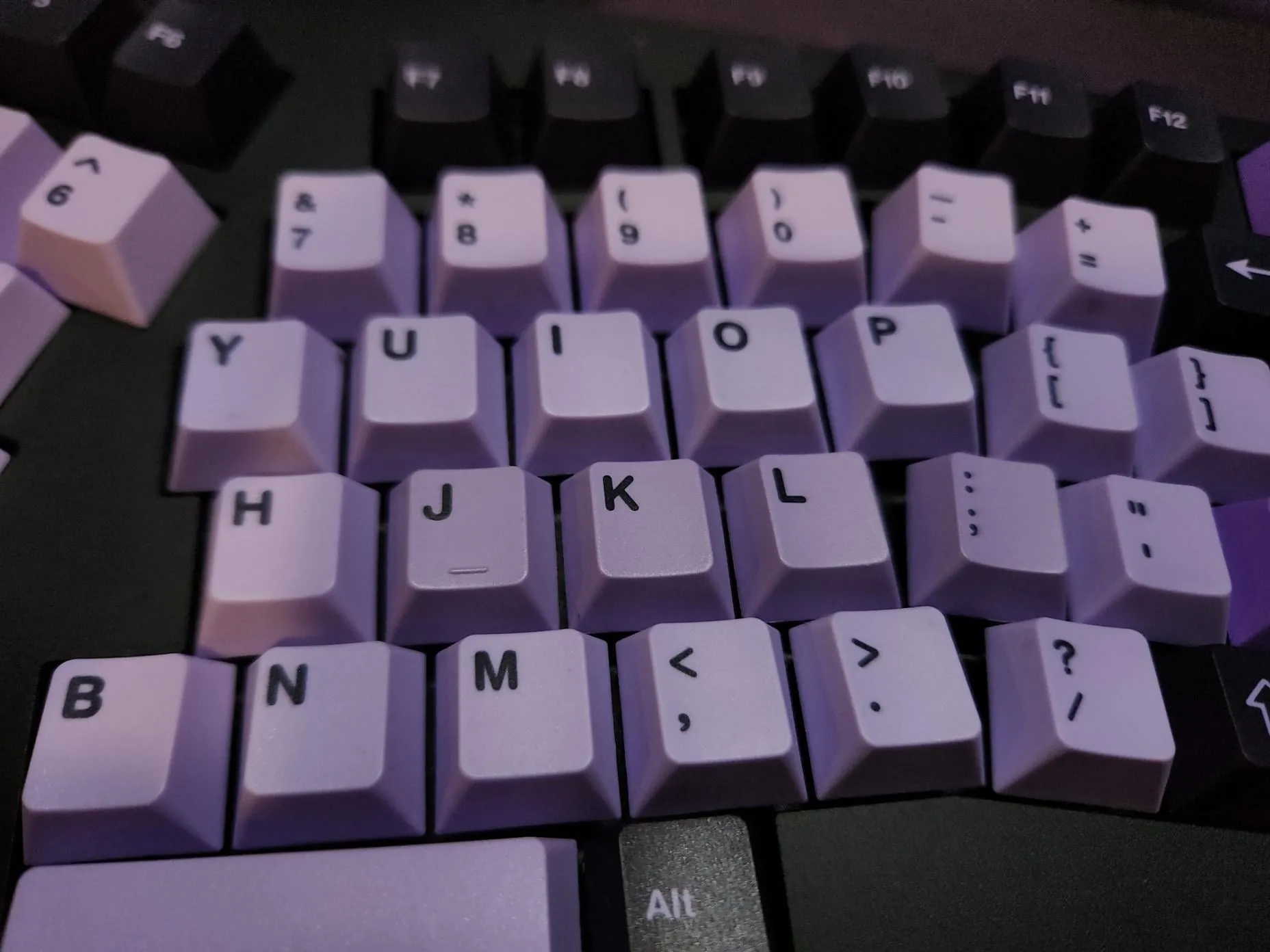 本家とクローンの比較画像