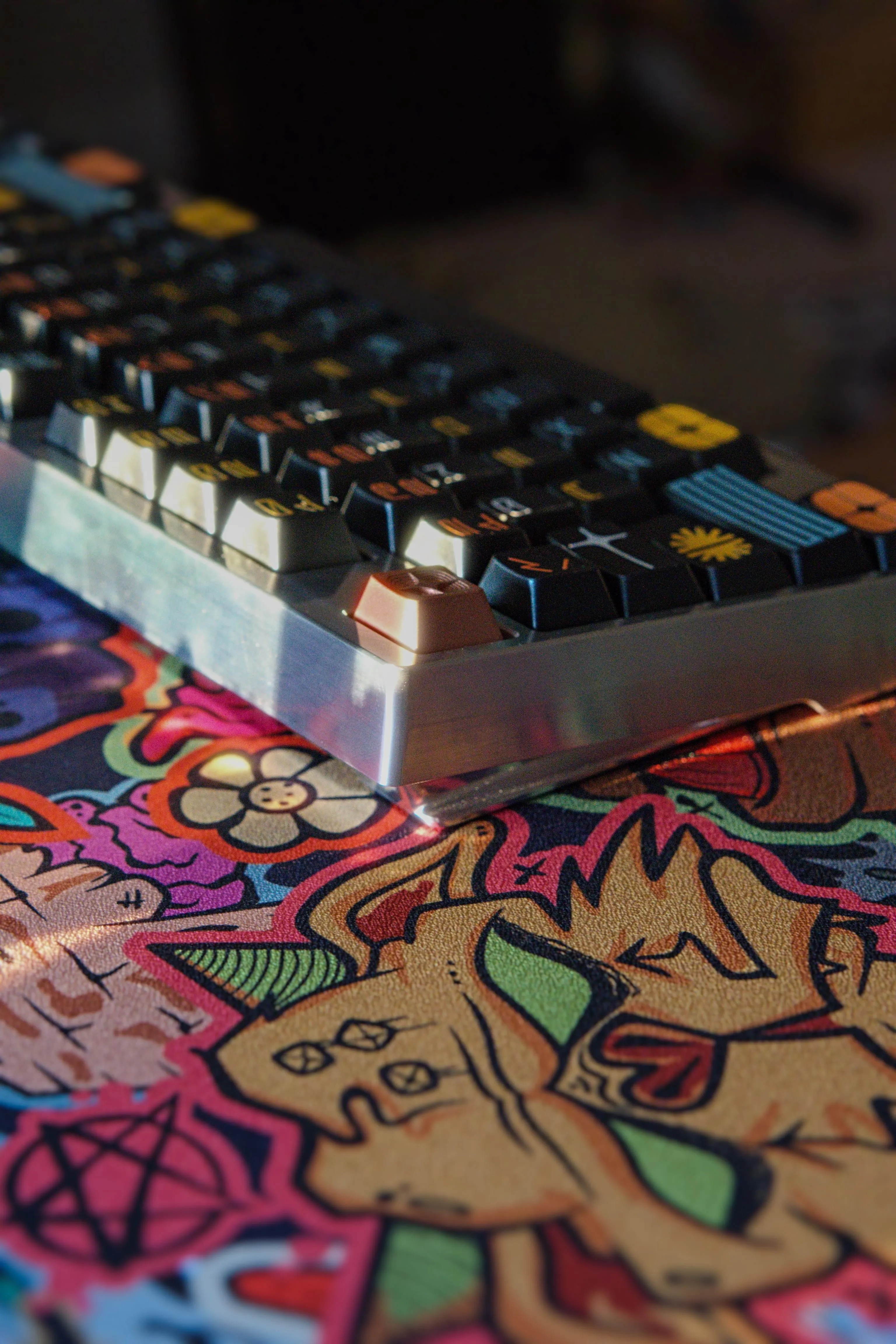 ボトムケースの詳細