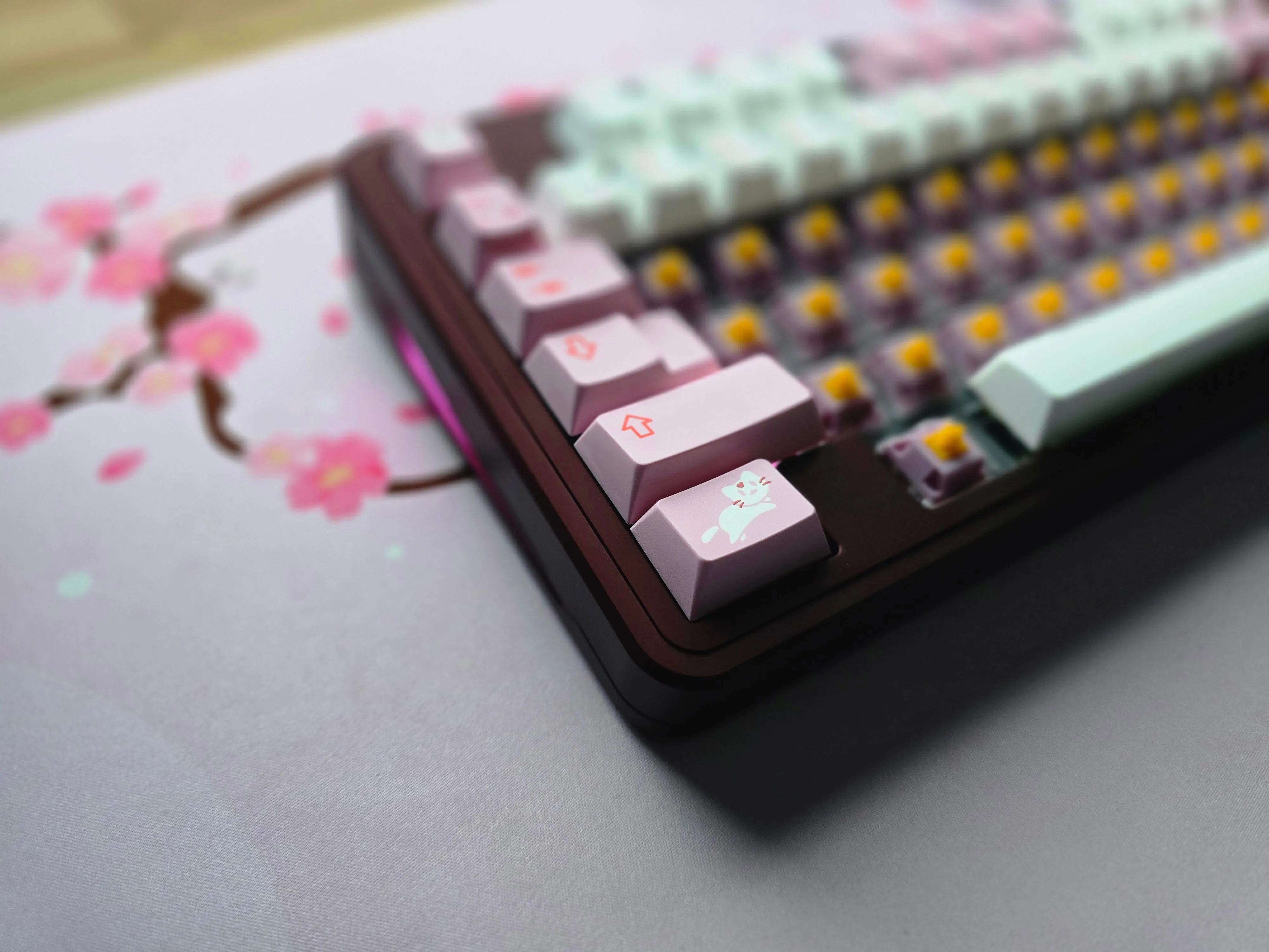 キーボードのクローズアップ