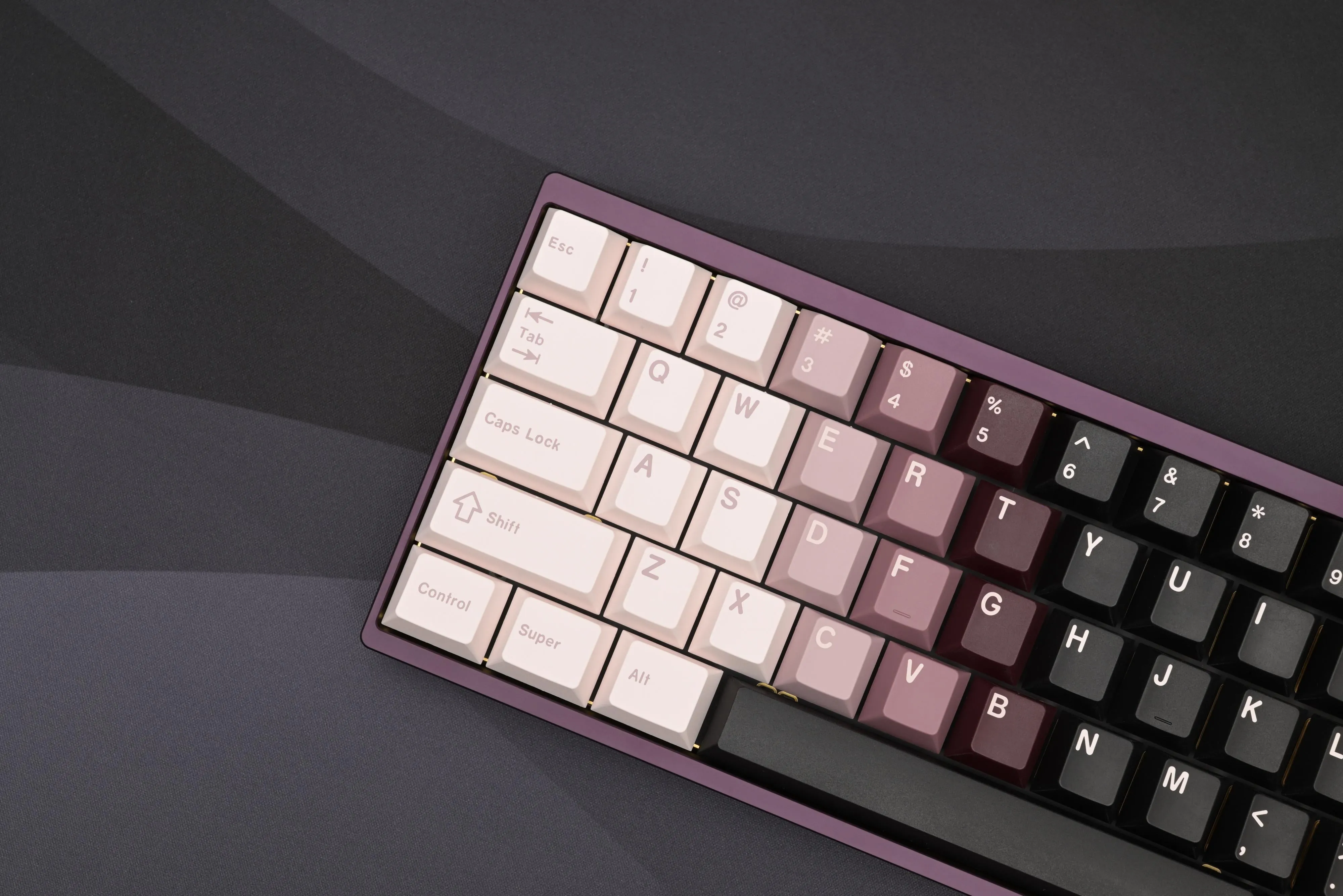 Purple Neo65 + KKB Pandora 1