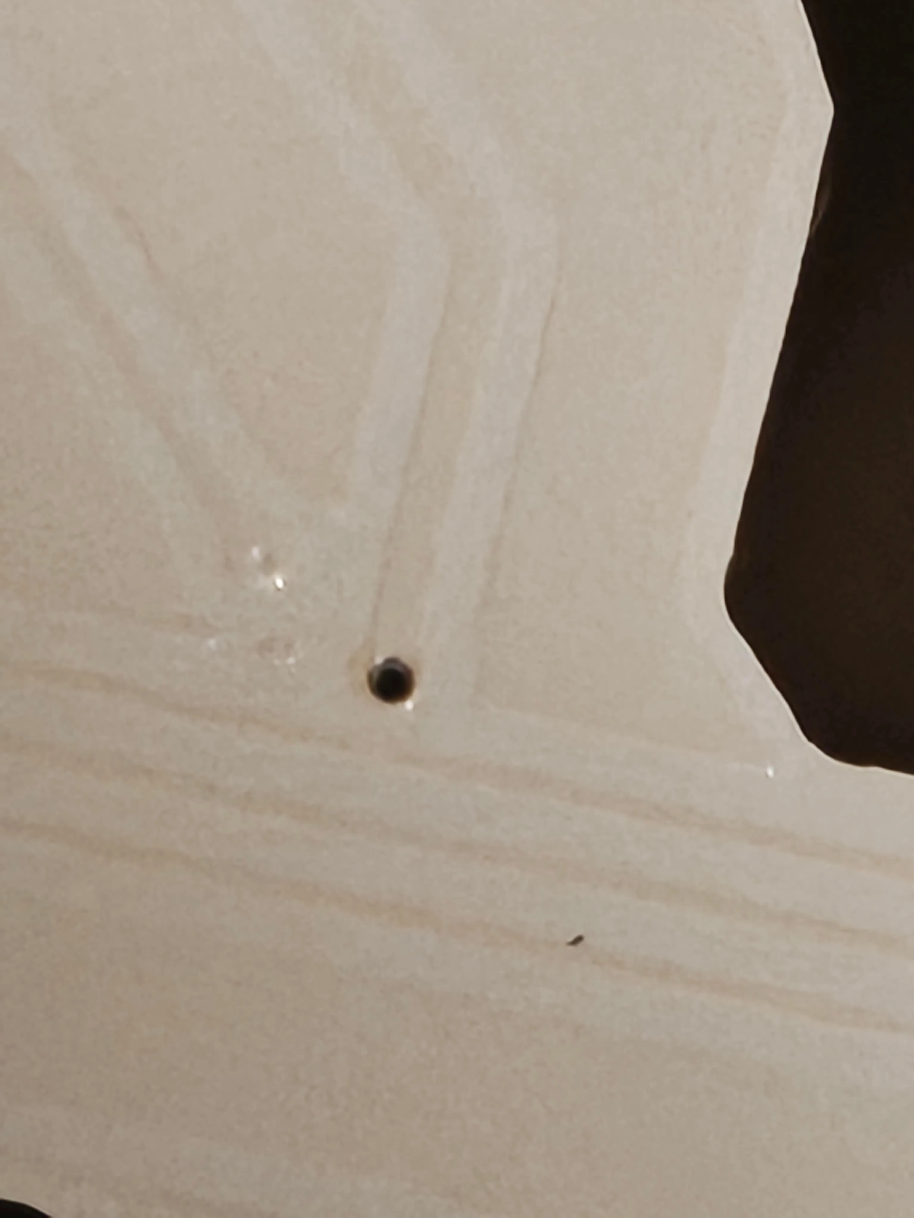 基板上の不審な点を確認する様子