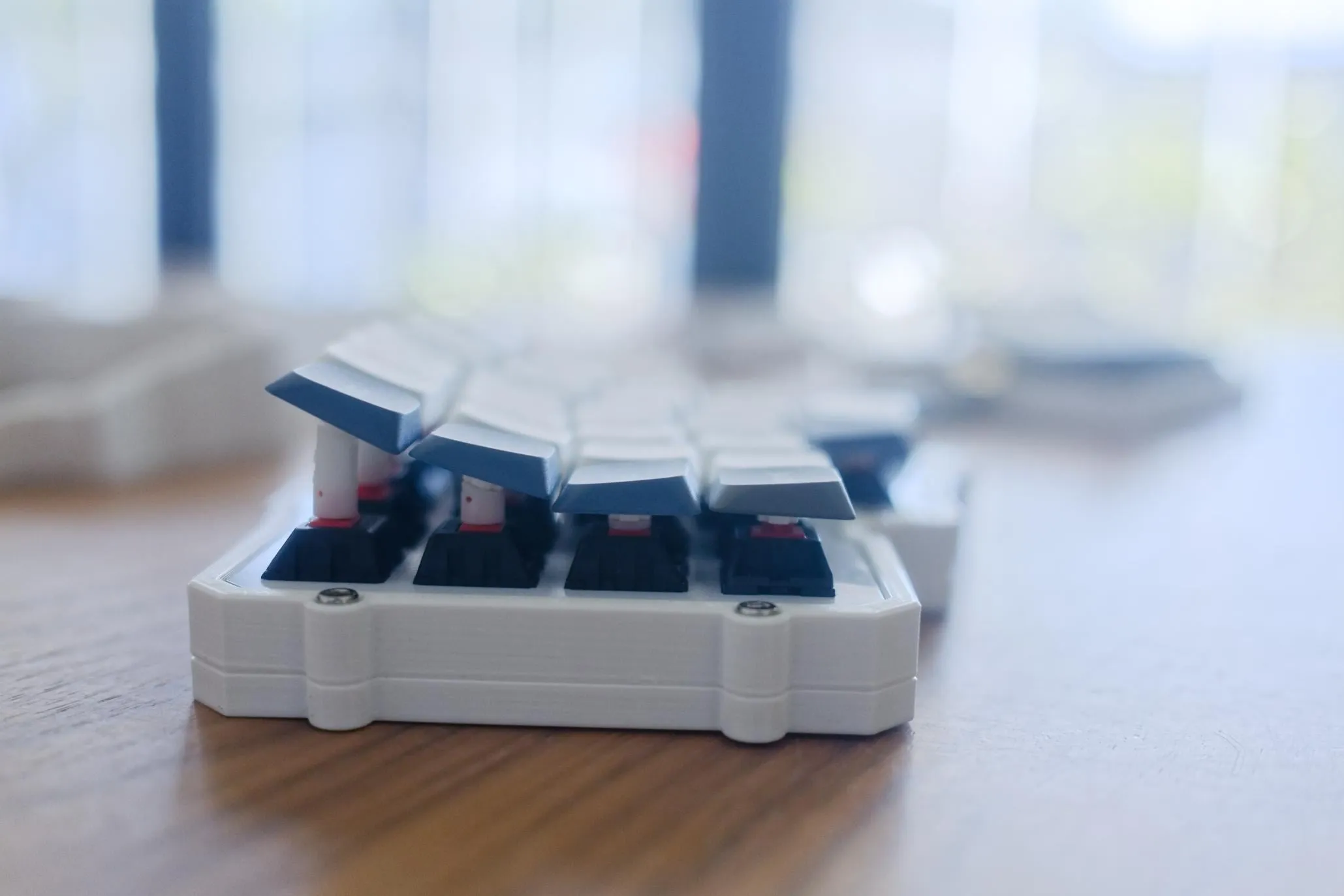 テンティングの様子