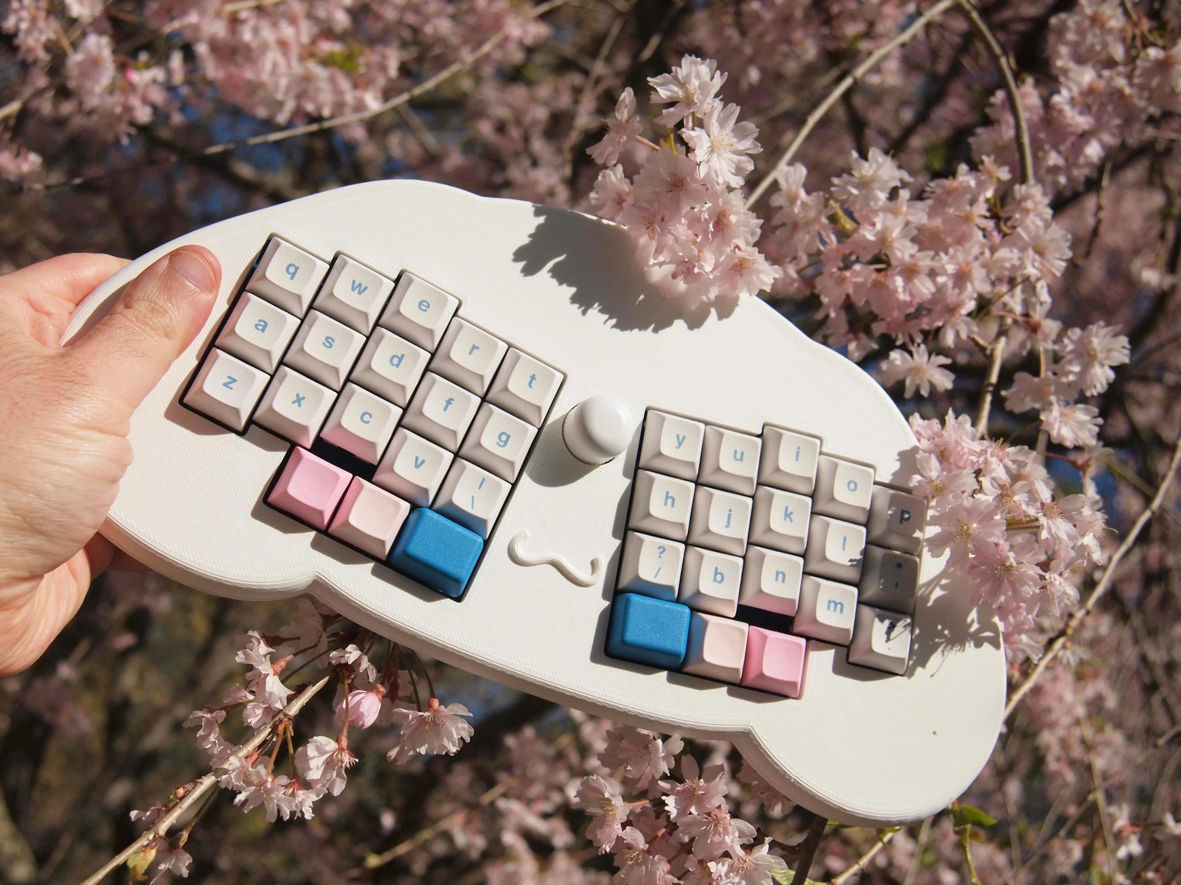 別角度からのショット