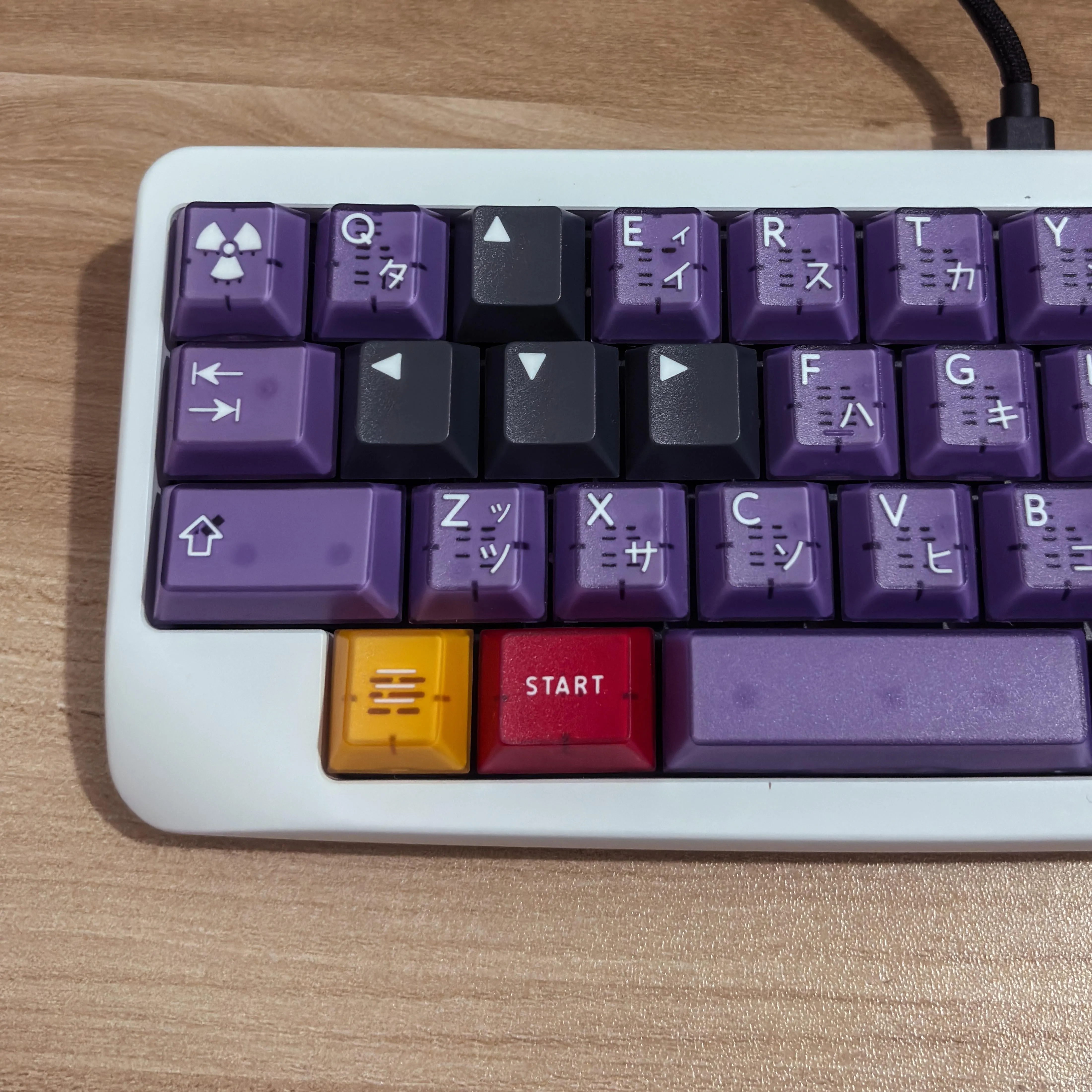 Agar MiniとPbtFans Atomic Purpleの組み合わせ