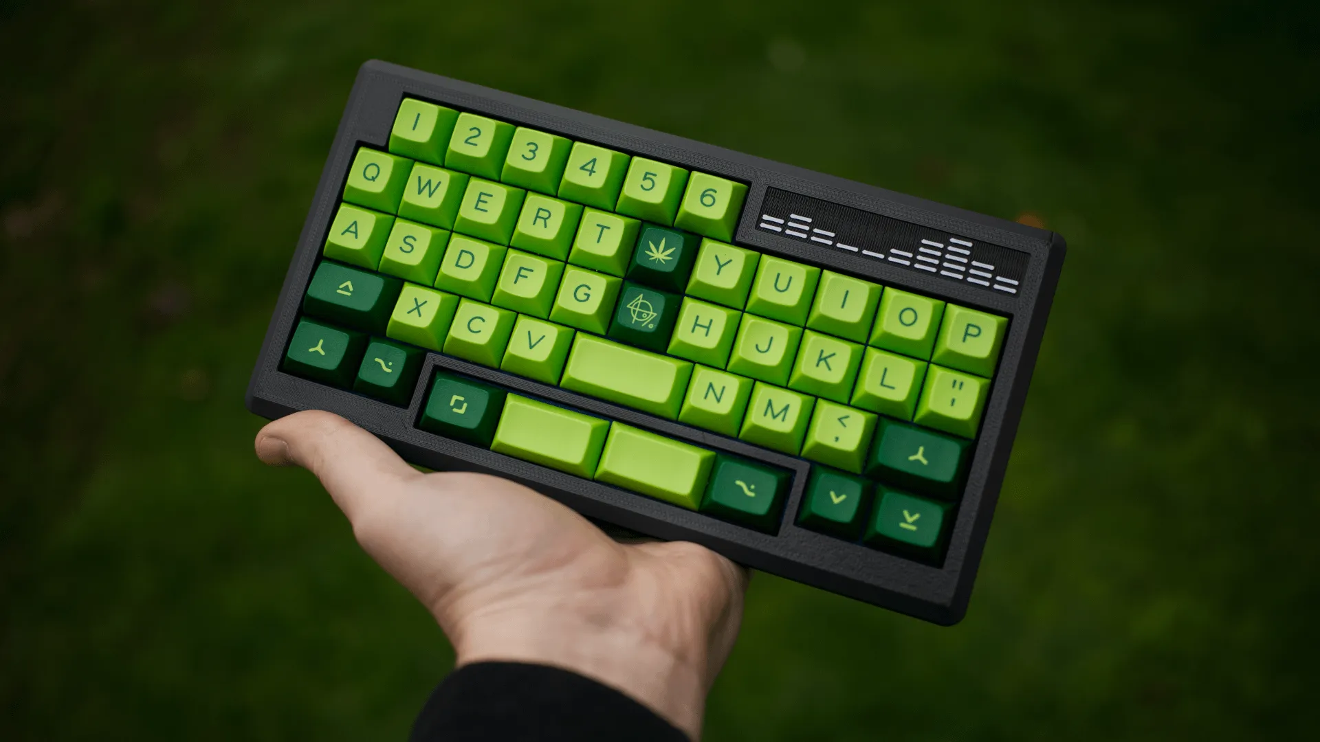 Sambar 別角度からのショット