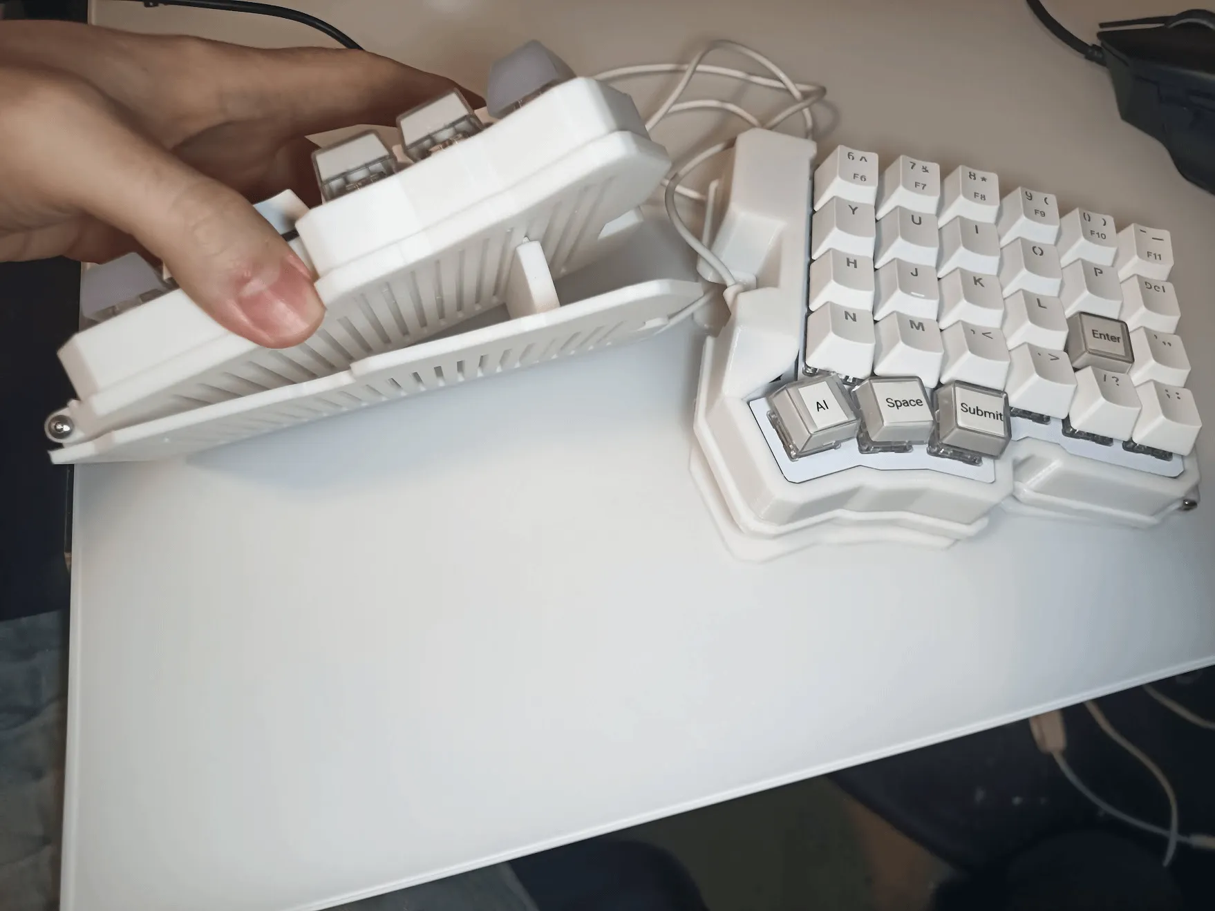 ケースの構造とテンティングの様子