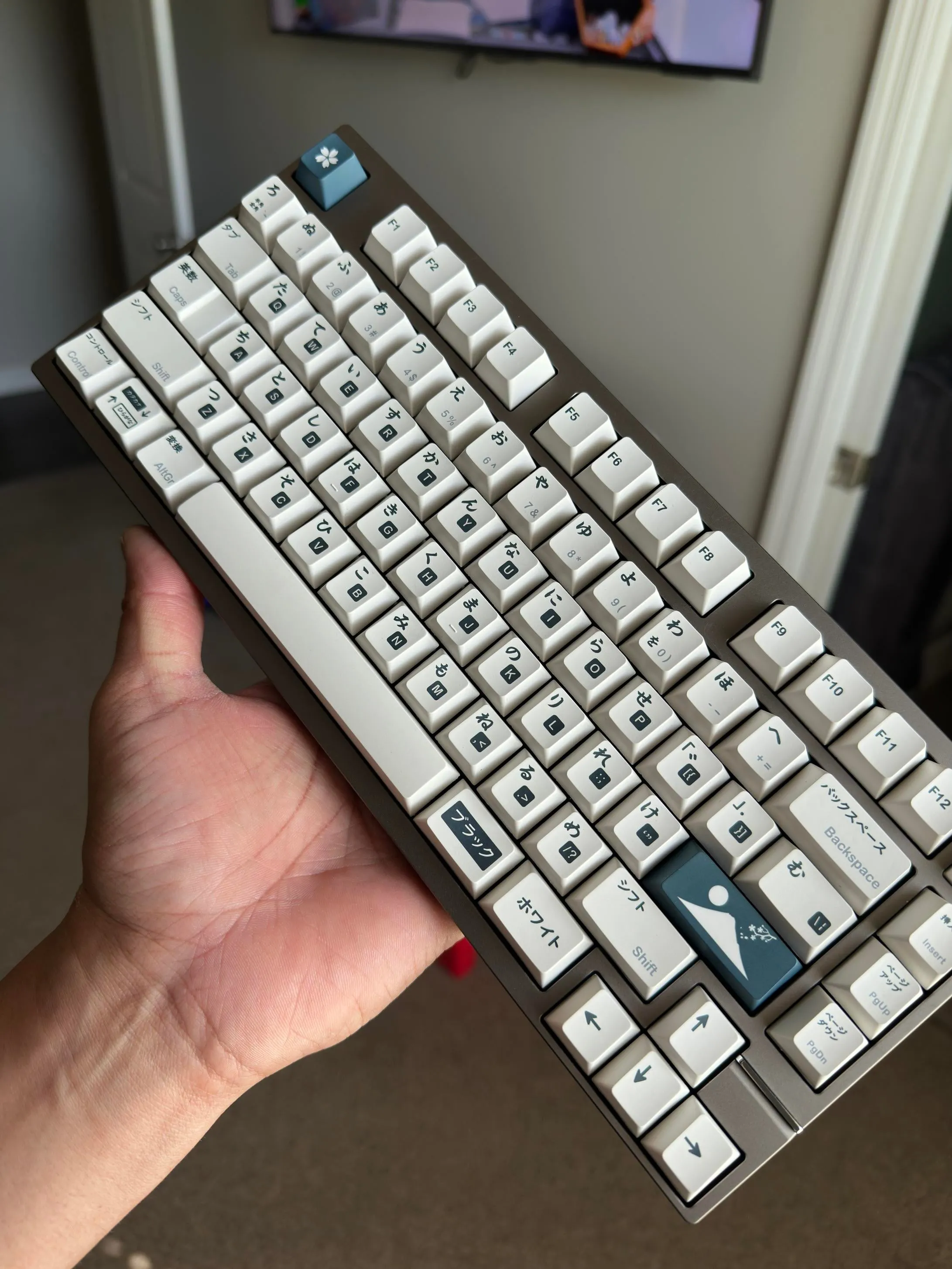 別角度からのカット