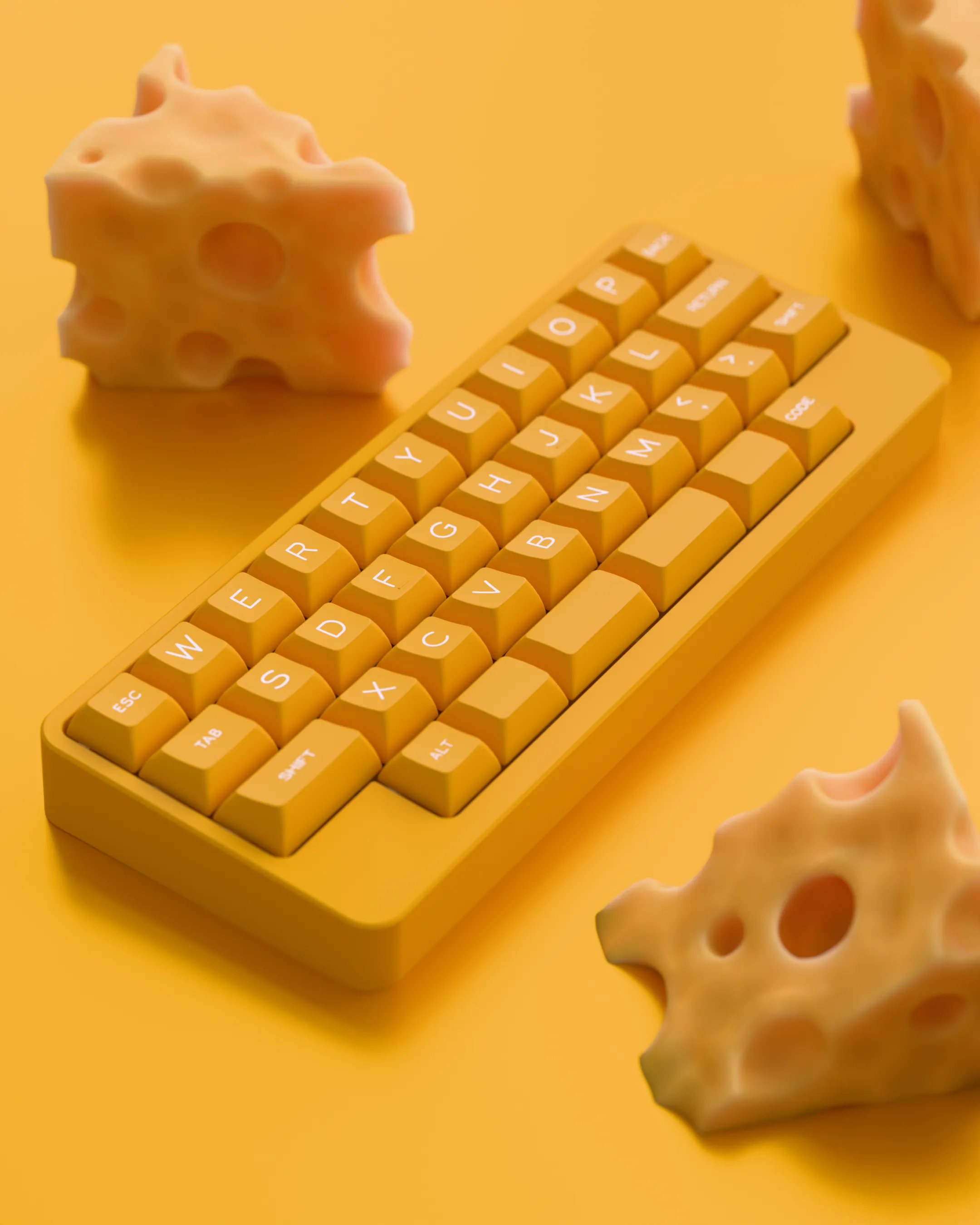 DSS Government Cheese