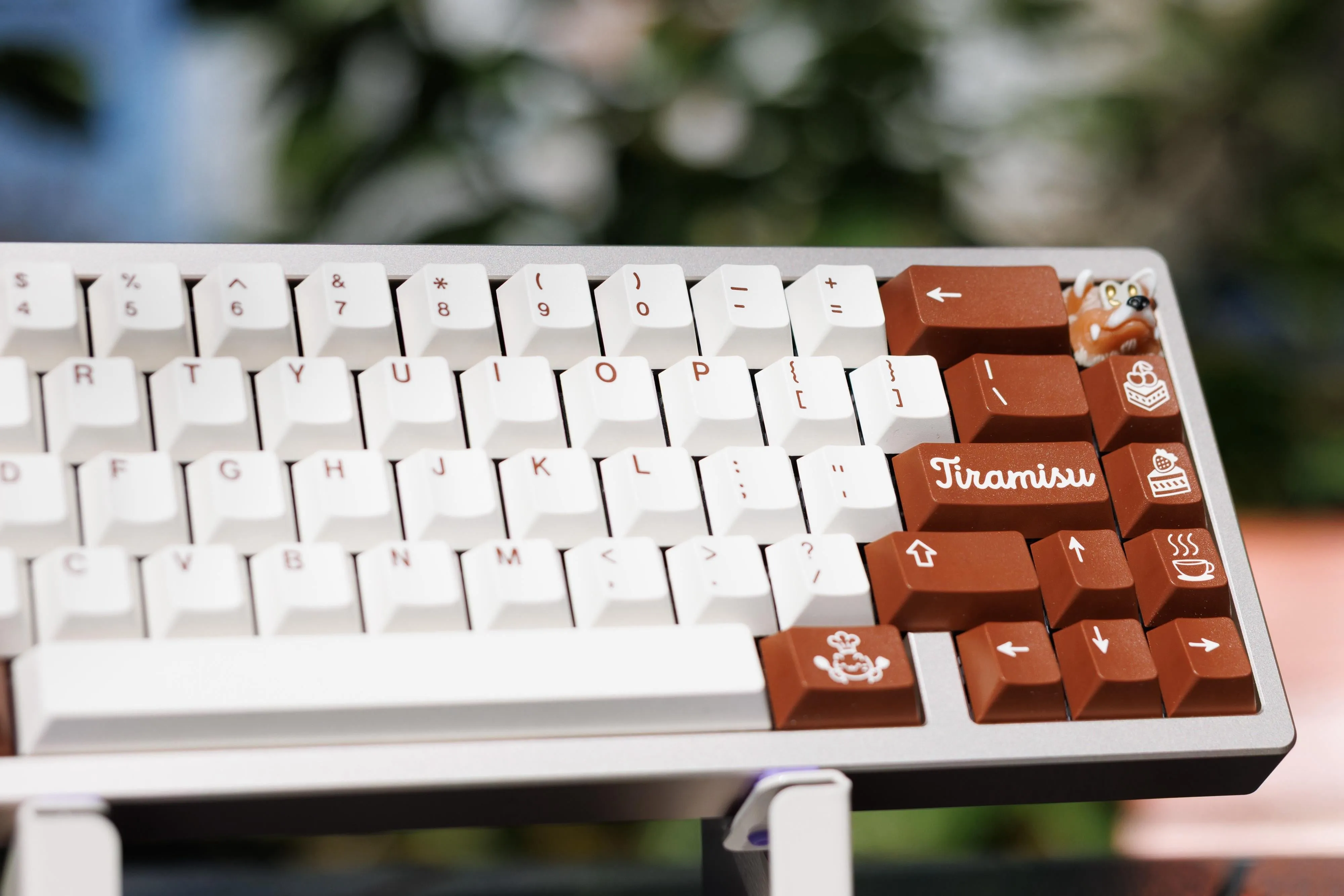 Kohaku Champagne 全体像