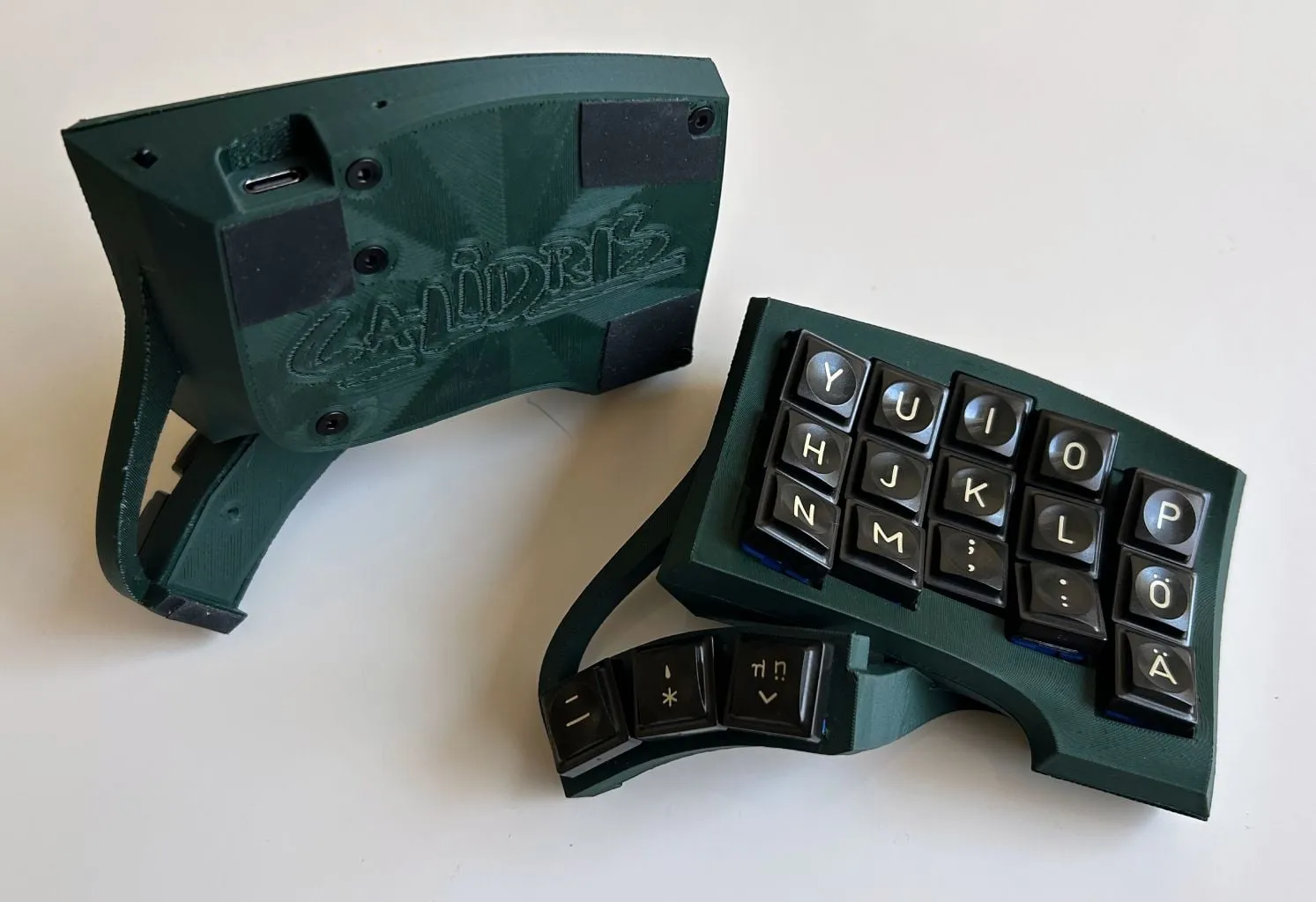 Calidrisの別アングル