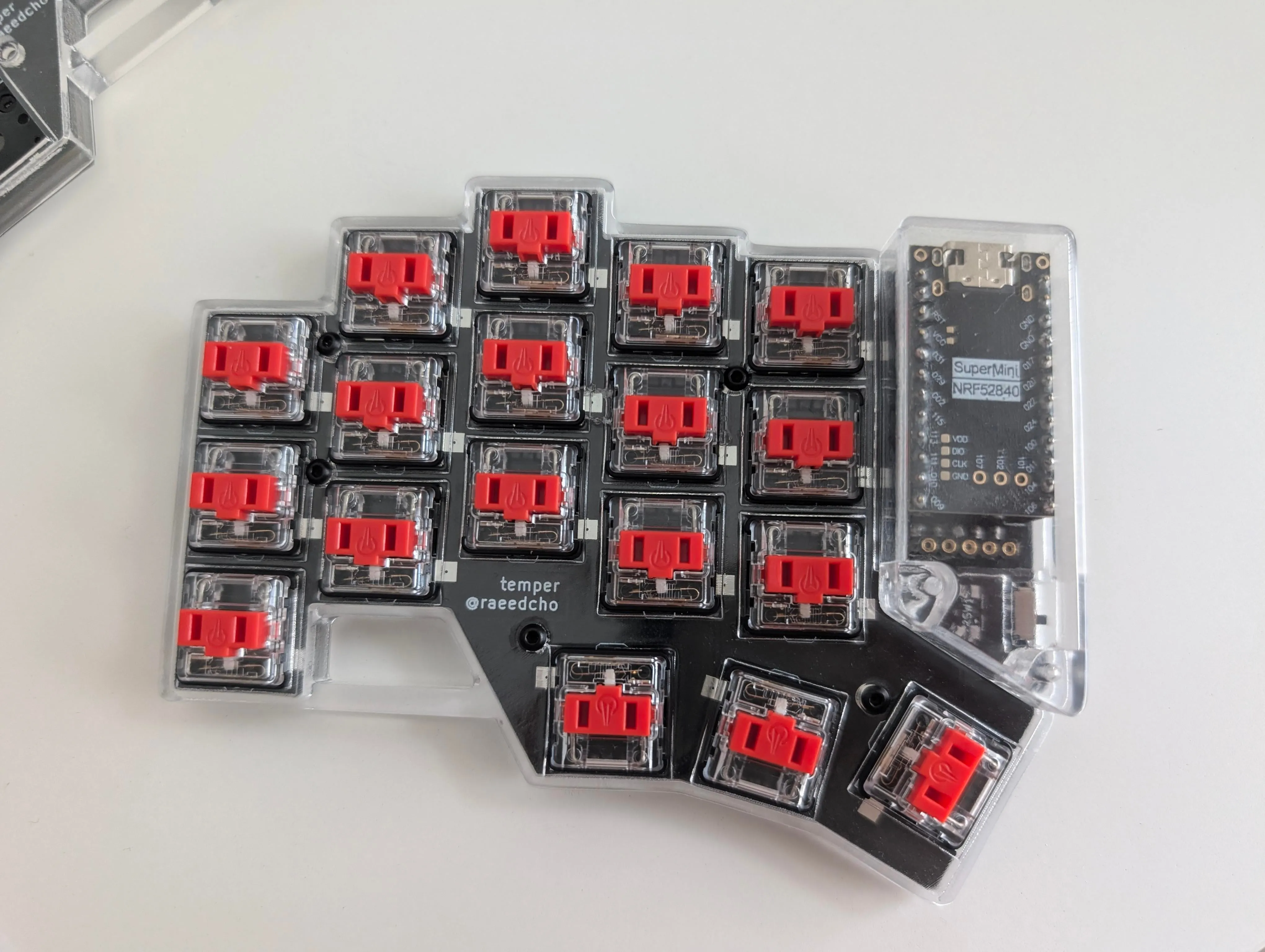 別角度からのショット。透明度の高さが伺える