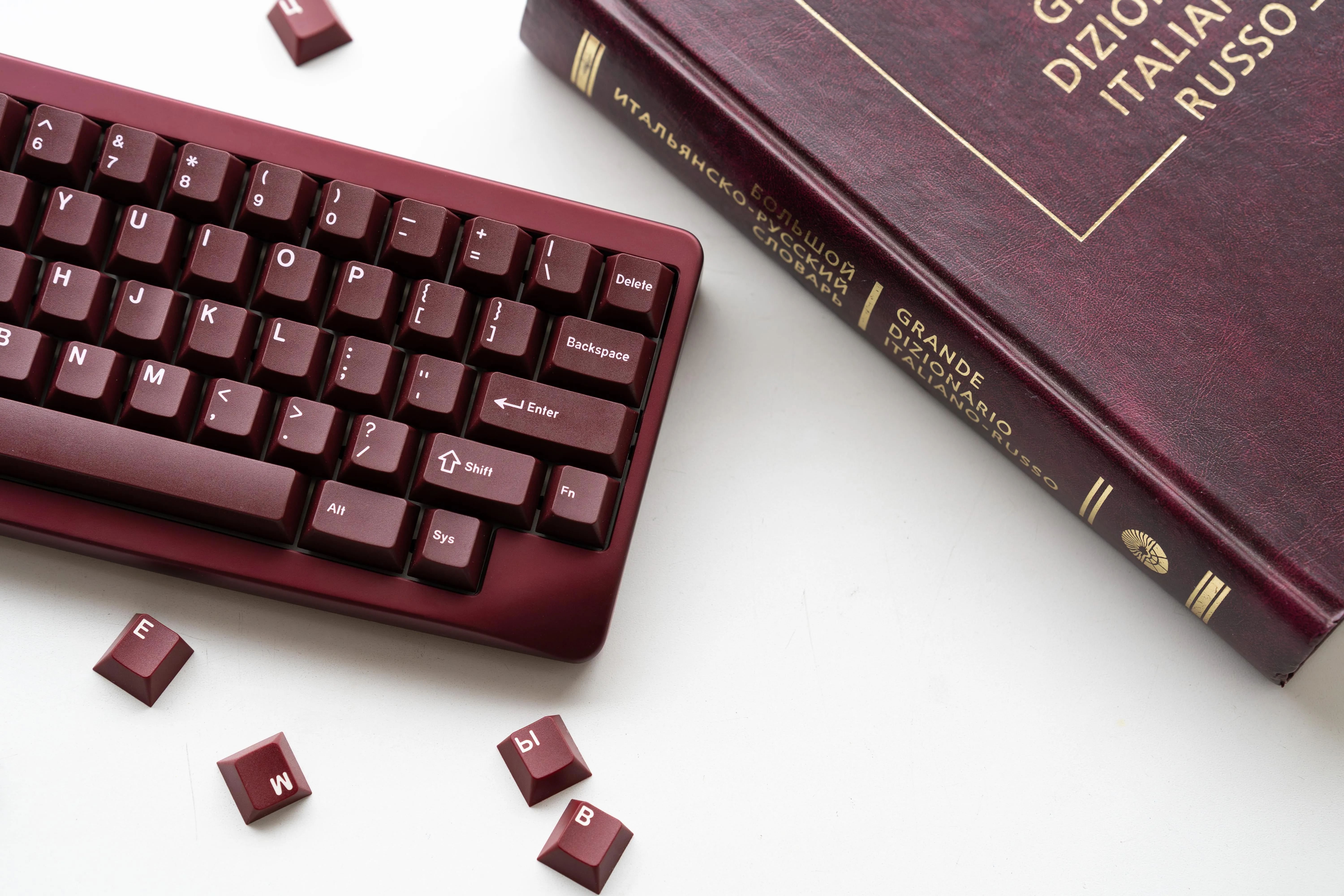 Agar ECビルドの全景