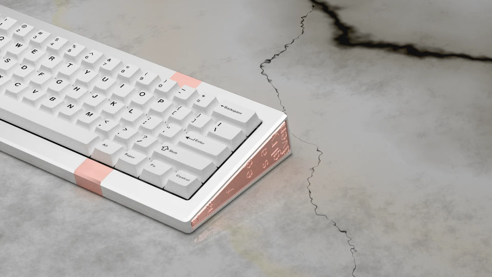 Marigold60の背面デザイン