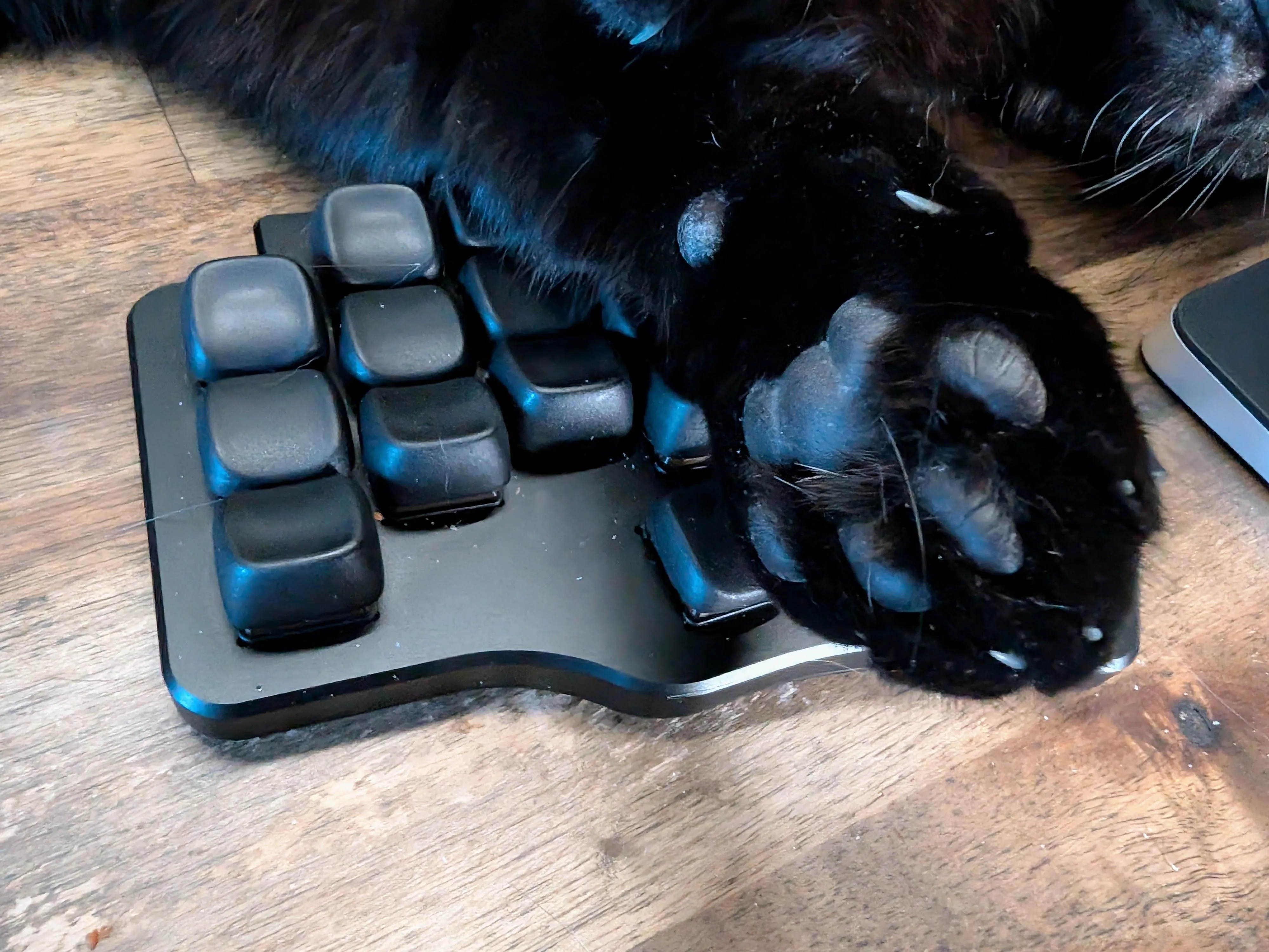 ショップからの手書きメッセージ