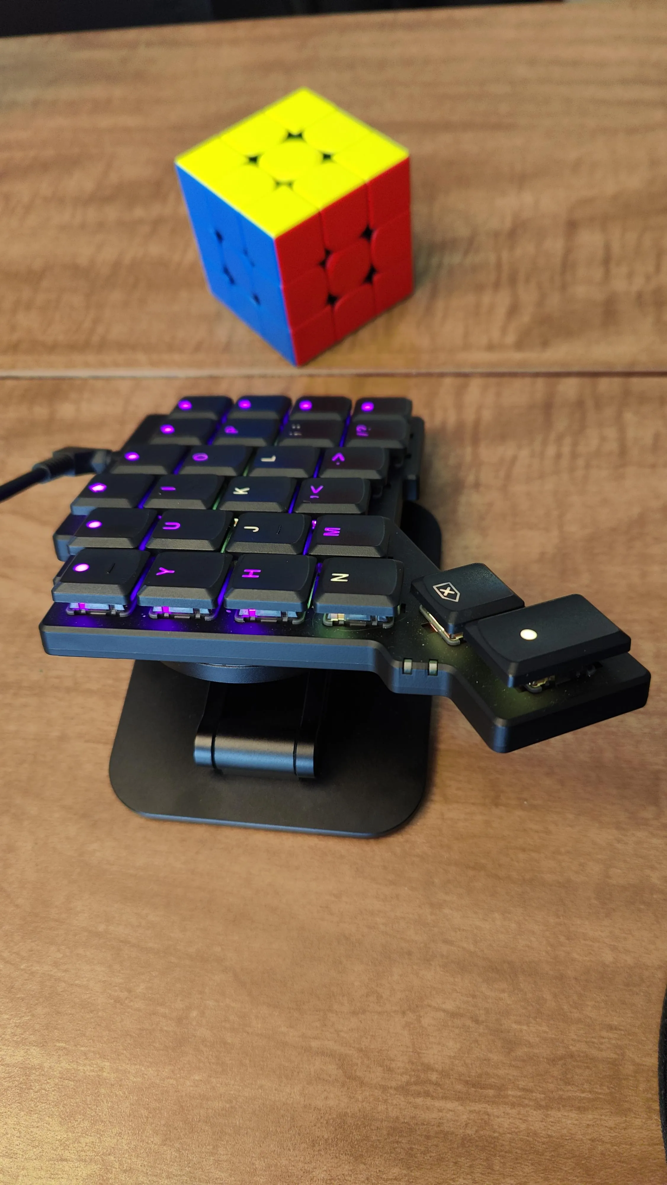 スタイリッシュにテンティングされたZSA Voyager