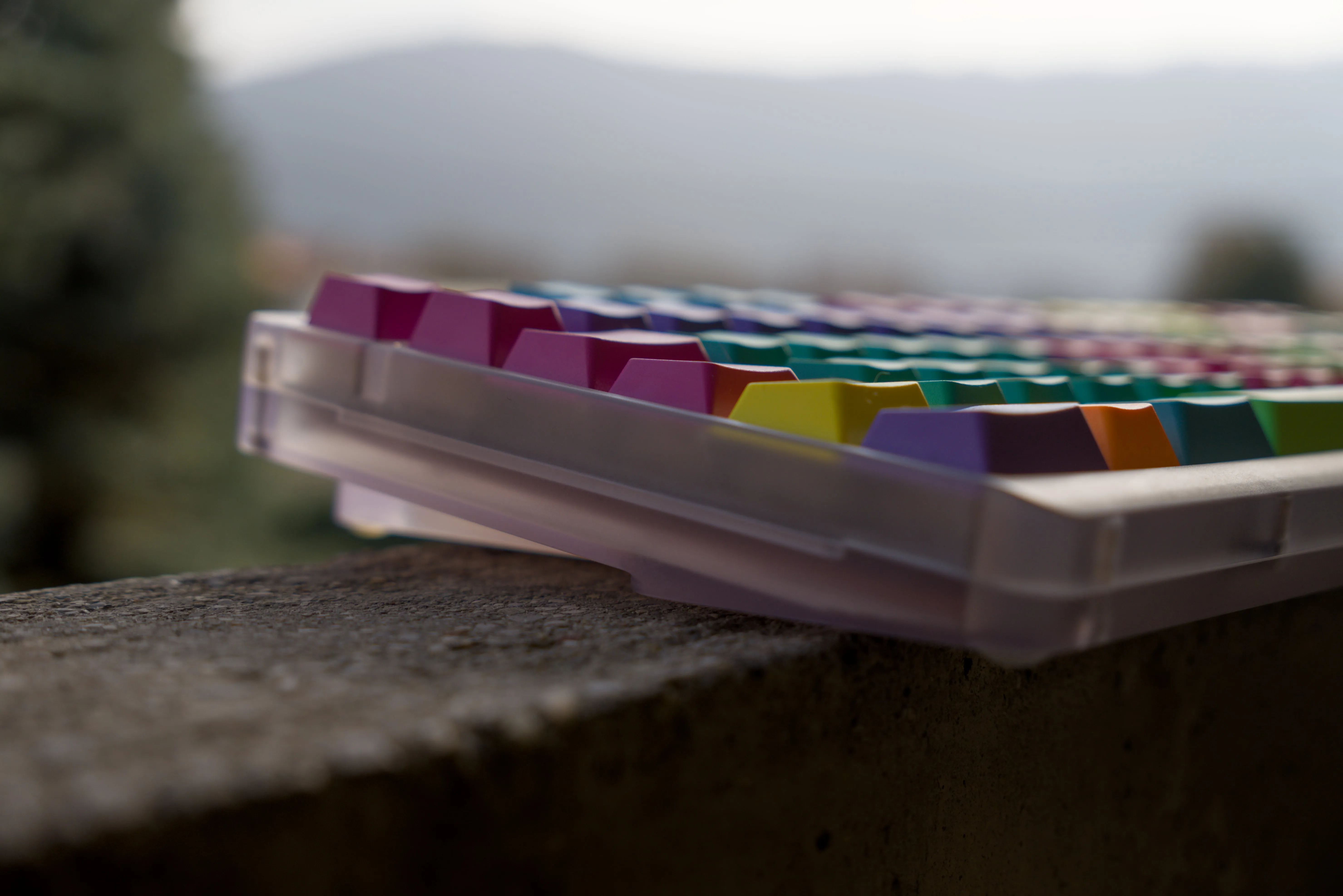 ケースの透明感を確認できる別角度からのショット