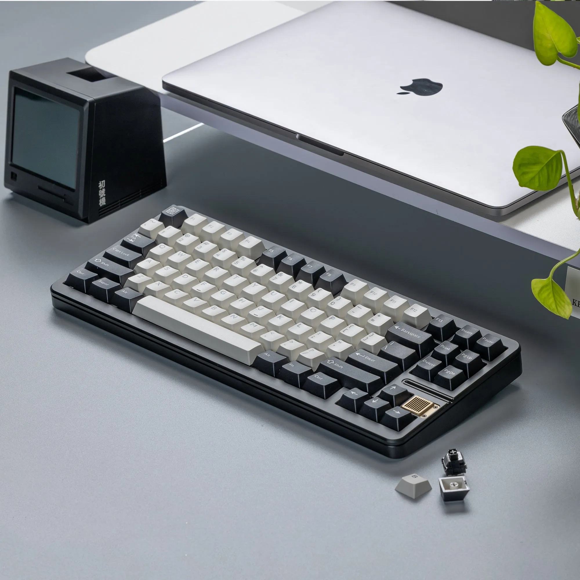 外観カスタマイズのオプション