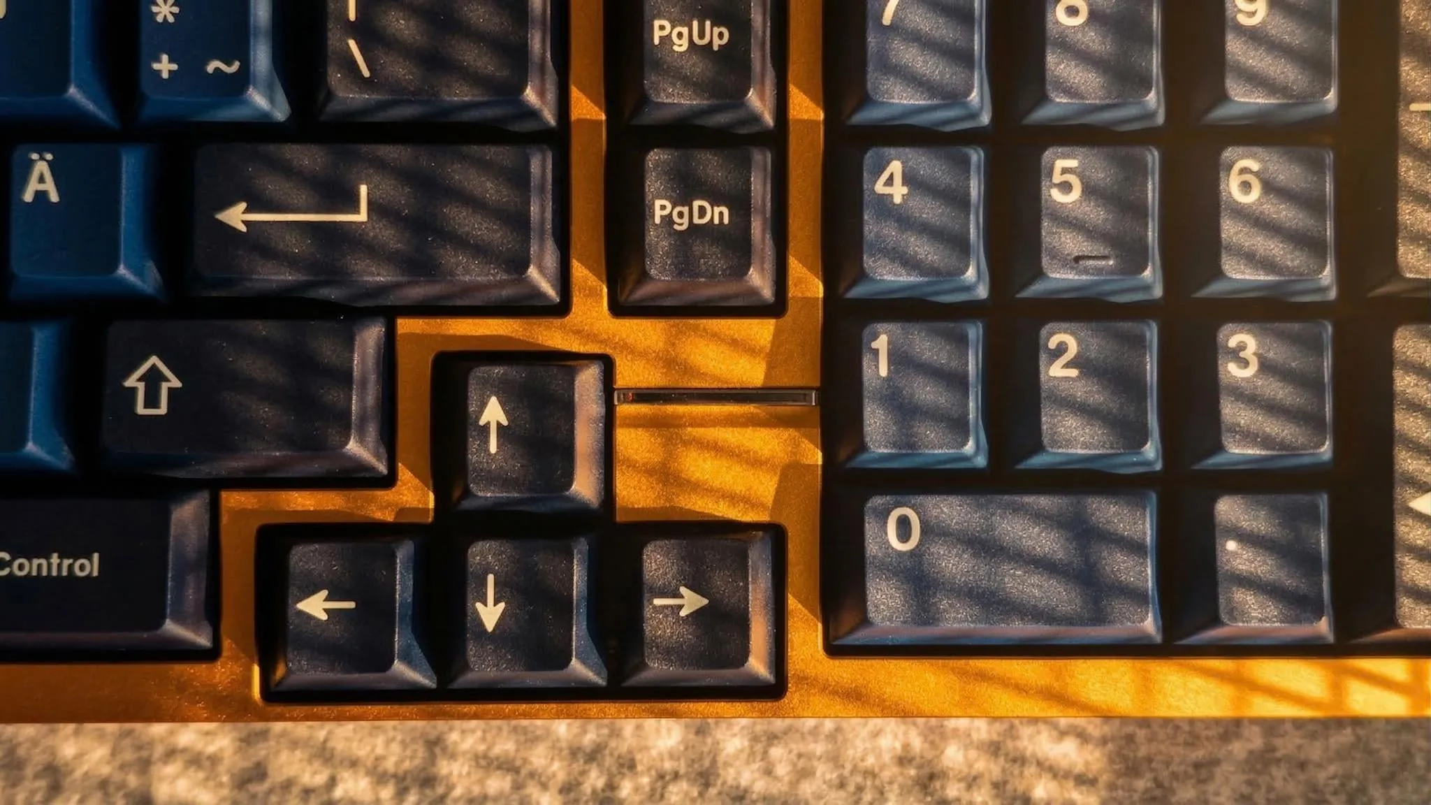 タイピングエリアの接写